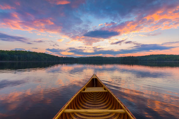 Bow of a cedar canoe on a lake at sunset - Ontario, Canada Bow of a cedar canoe on a lake at sunset - Haliburton, Ontario, Canada lake stock pictures, royalty-free photos & images
