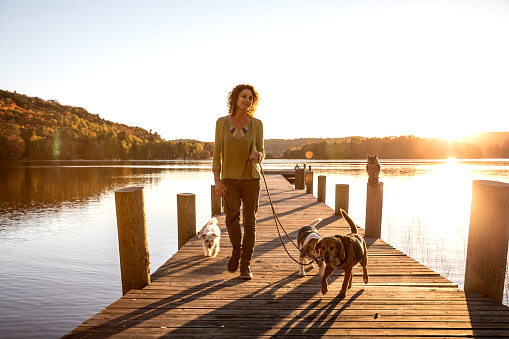 Outdoor with dogs in the nature by a lake, Canada.