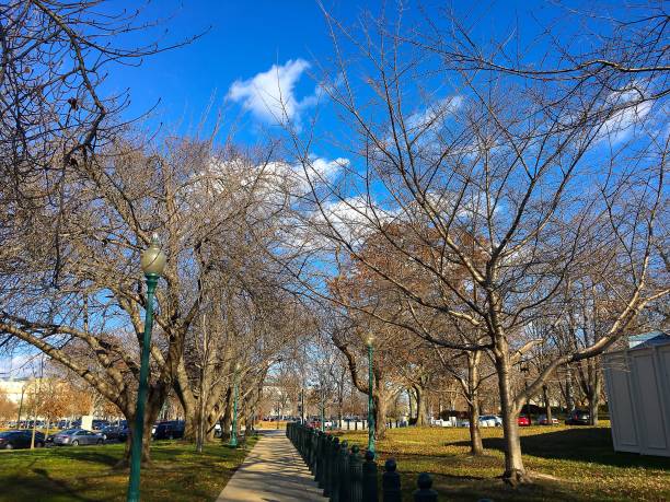 istock fall foliage in an urban city park 839995212