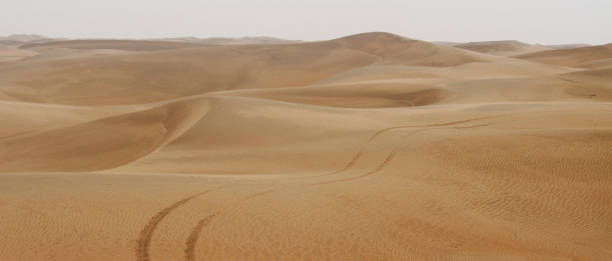 istock Desert sand dunes road at sunset 839995836