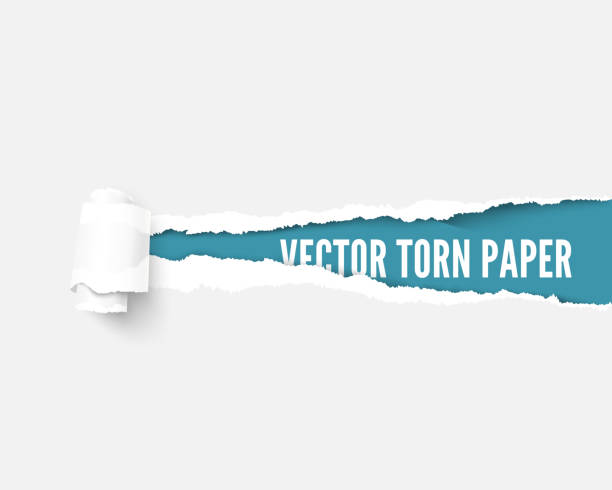 weißes paket papier zerrissen zu offenbaren blue panel ideal für textfreiraum - index card paper cut or torn paper card file stock-grafiken, -clipart, -cartoons und -symbole