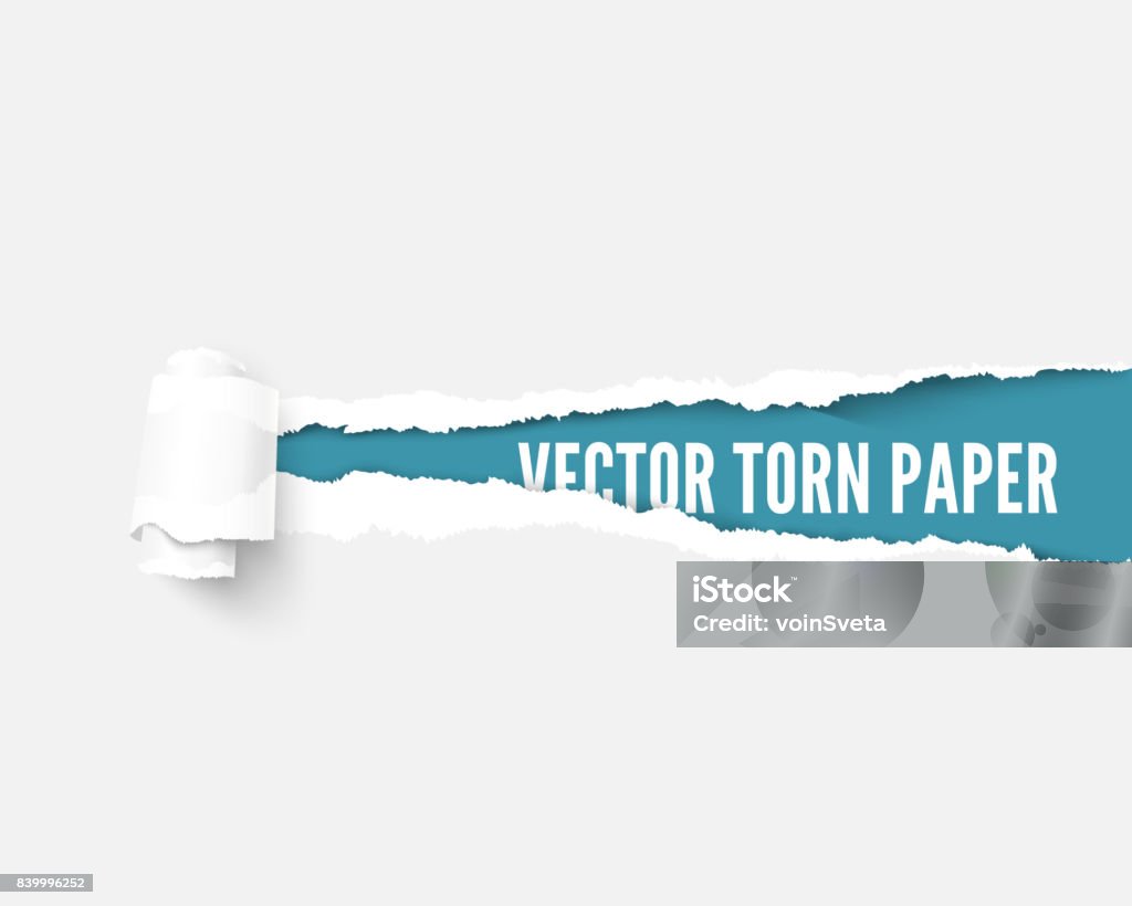 White package paper torn to reveal blue panel ideal for copy space White package paper torn to reveal blue panel ideal for copy space. Advertising template with ripped paper with paper roll Torn stock vector