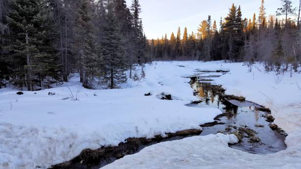 istock A RIVER RUNNING IN ALGONQUIN PARK ONTARIO CANADA 840009226