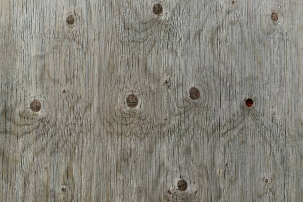 plywood background stock photo