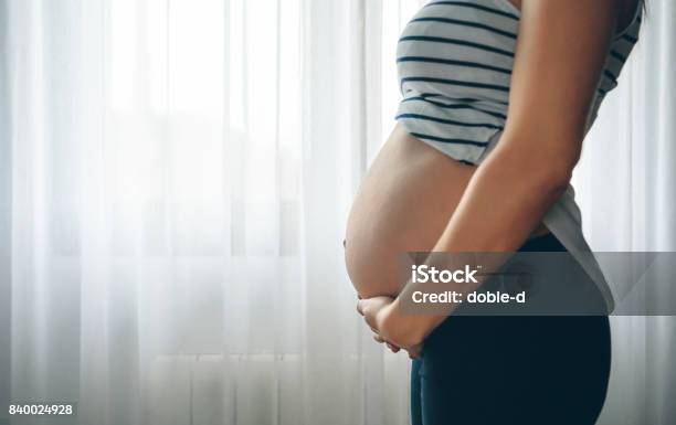 Pregnant Woman Holding Her Tummy Stock Photo - Download Image Now - Pregnant, Abdomen, Mother