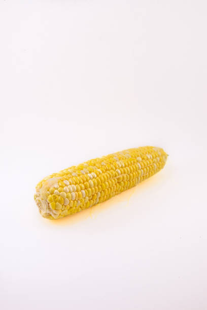 istock Fresh and newly harvested sweet corn 840025060