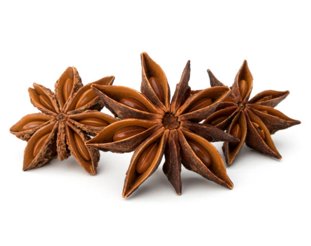 istock Star anise spice fruits and seeds isolated  c 840027698