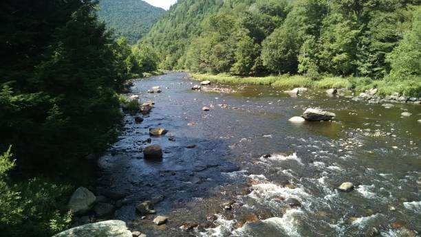 mejor de la naturaleza - adirondack mountains fotografías e imágenes de stock