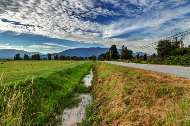 countryside landscape (countryroad, ditch, farmfield) countryside landscape (countryroad, ditch, farmfield) ditch stock pictures, royalty-free photos & images