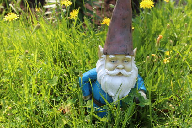 istock Garden gnome in tall grass with dandelions 840031630