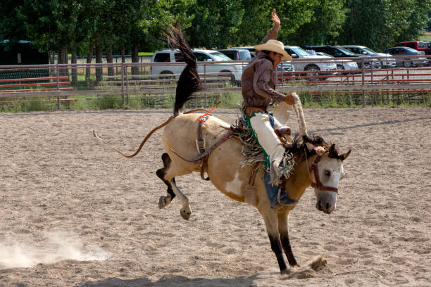 istock Cowboy Roping a Calf in a Rodeo 840034440