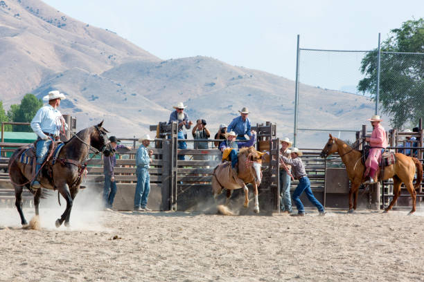 istock Cowboy Roping a Calf in a Rodeo 840034620