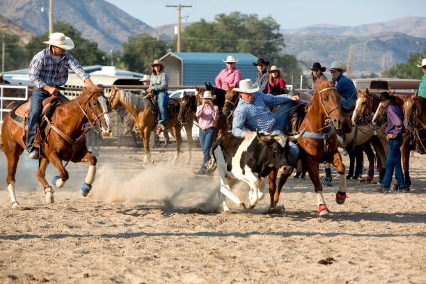 istock Steer Wrestling Rodeo Cowboy 840037328