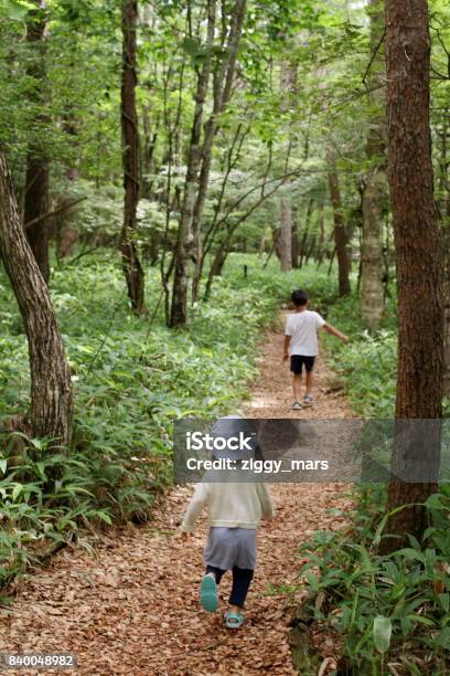 Japanische Bruder Und Schwester Auf Einer Wanderung Stockfoto und mehr Bilder von 2-3 Jahre