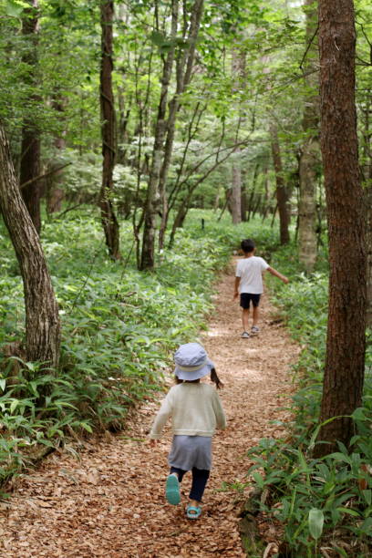 istock Japanese brother and sister on a hike (7 years old boy and 2 years old girl) 840048982