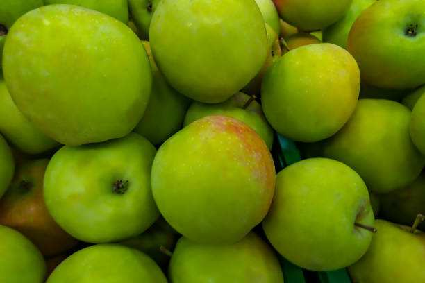 istock Close-up of pile of apples 840051674