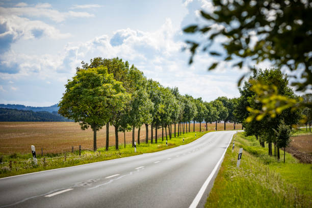 road in rural landscape two lane country road between trees and green fields in a rural landscape country road sky field cloudscape stock pictures, royalty-free photos & images