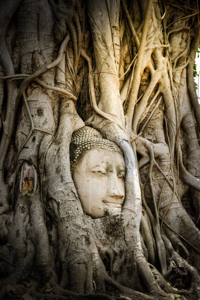 istock Wat Mahathat, Phra Nakhon Si Ayutthaya, Thailand 840061110
