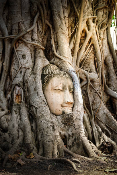 istock Wat Mahathat, Phra Nakhon Si Ayutthaya, Thailand 840067220