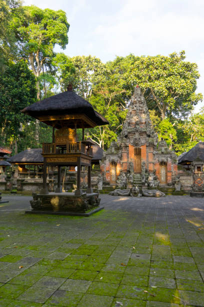 istock the famous Monkey Forest Sanctuary in Bali ,Indonesia 840074034