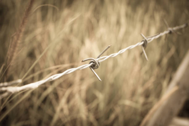 istock Barbed wire fence and green field closeup 840079072