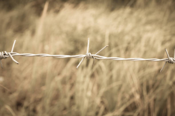 istock Barbed wire fence and green field closeup 840079882
