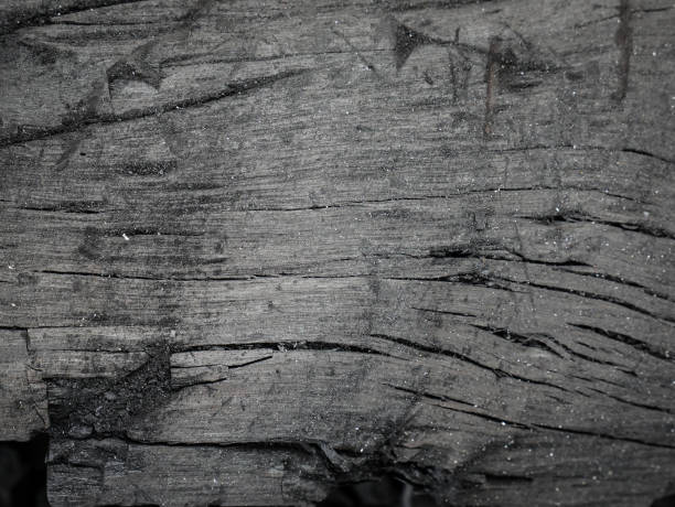 istock Black wood charcoal texture background. 840092126