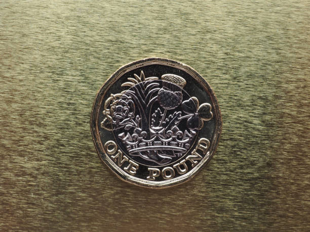 istock 1 pound coin, United Kingdom over gold 840103180