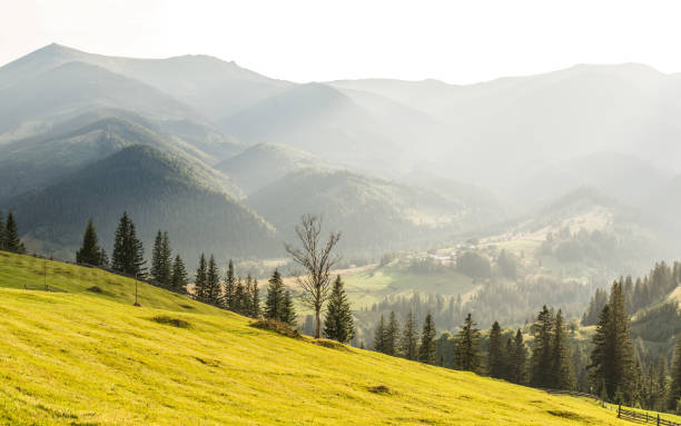 istock Mountain village in the Carpathians 840118340