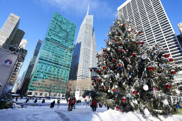 bryant park en día frío después de la tormenta de nieve - winter scape fotografías e imágenes de stock