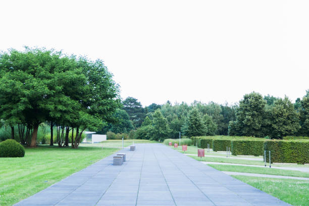 istock Green park with a parking place and benches road. 840125384