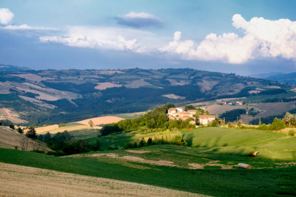 Oltrepo Pavese (Italy), rural landscape at summer