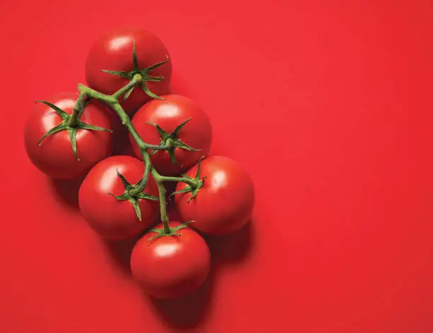 Photo of Fresh tomatoes
