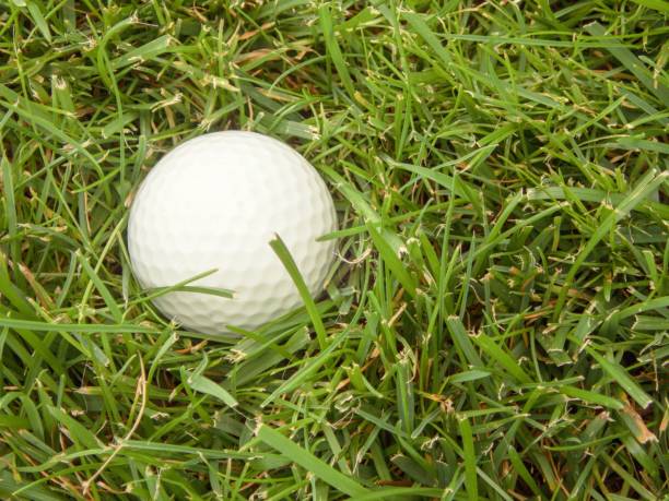 istock golf practice ball laying outside the fairway in green rough 840143642