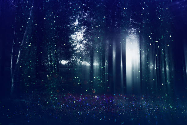 istock Abstract and mysterious background of blurred forest 840147508