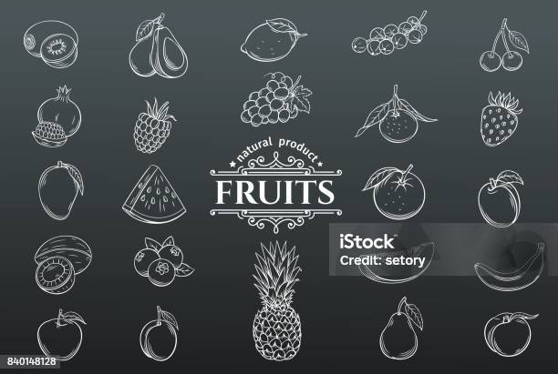 Vector Hand Drawn Fruits Icons Set Stock Illustration - Download Image Now - Fruit, Sketch, Drawing - Art Product