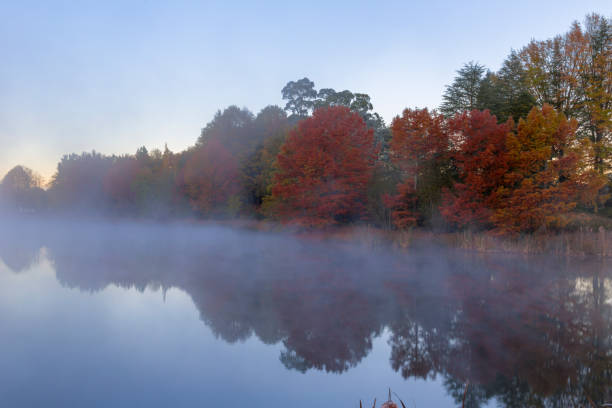 istock Mist on the water in autumn 840148670