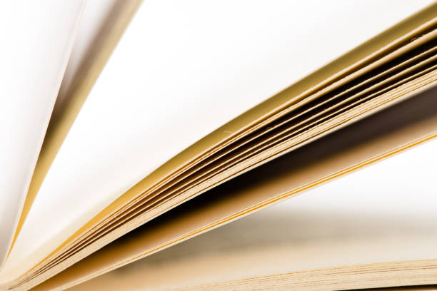 istock Education and wisdom concept - Macro view of book pages 840151148