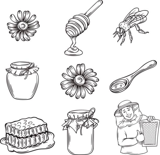 ilustrações de stock, clip art, desenhos animados e ícones de vector hand drawn honey icons set. - mel ilustrações
