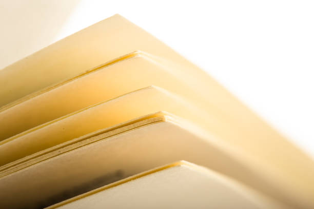 istock Education and wisdom concept - Macro view of book pages 840151260