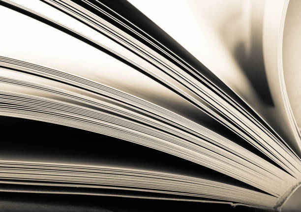 istock Education and wisdom concept - Macro view of book pages 840151406