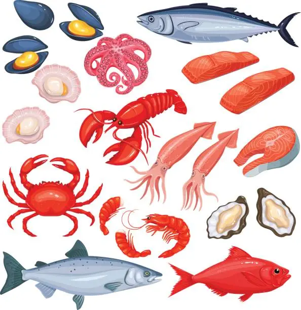 Vector illustration of Seafood in cartoon style.