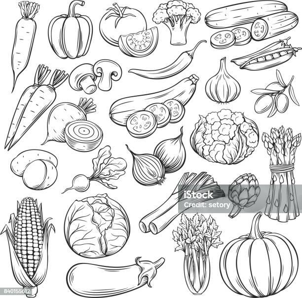 Vector Hand Drawn Vegetables Icons Set Stock Illustration - Download Image Now - Vegetable, Illustration, Fruit