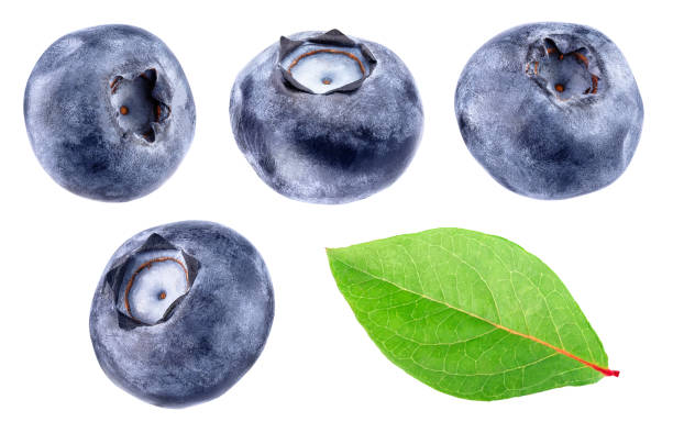 istock collection of blueberries isolated on white 840157850