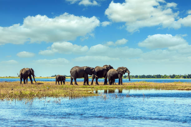 istock The concept of exotic tourism 840159104