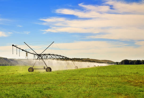 istock Modern agricultural  irrigation system watering a farm field. 840165768