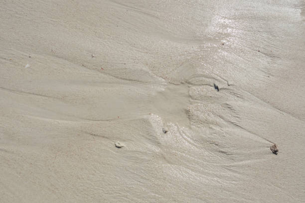 istock Abstract wet sand texture and background. 840173606