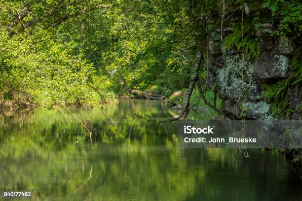 Reflective Rivers Reflective River In The Woods Stock Photo - Download Image Now - Beauty ...