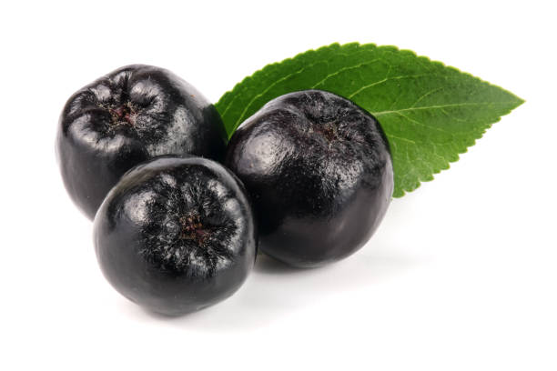 istock Chokeberry with leaf isolated on white background. Black aronia berries 840180798