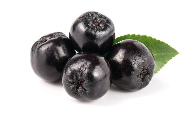 istock Chokeberry with leaf isolated on white background. Black aronia berries 840180866